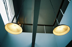 woof curry photograph 01