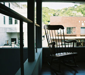 woof curry photograph 04