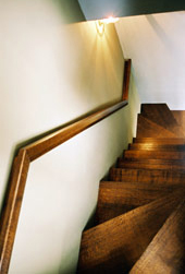 woof curry photograph 05